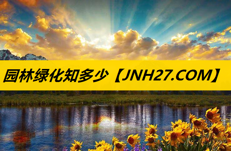 园林绿化知多少